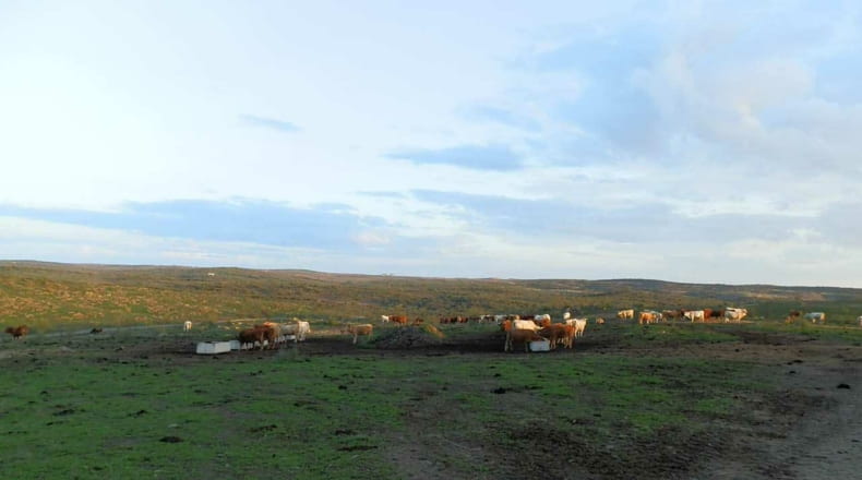 Cáceres - Alcántara - 5120000m2