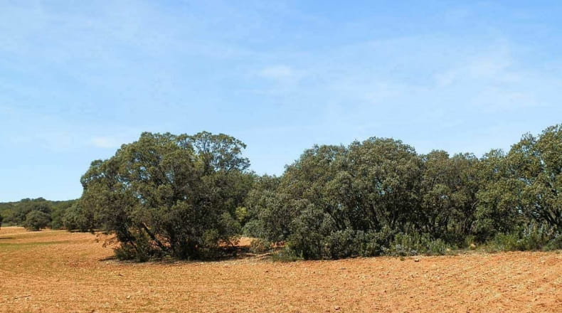 Ciudad Real - Ruidera - 6400000m2