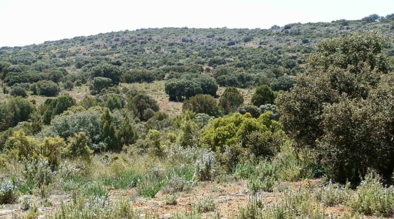 Ciudad Real - Ruidera - 6400000m2