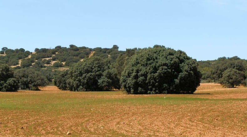 Ciudad Real - Ruidera - 6400000m2