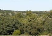 Terreno no urbanizable en venta en la Ruidera, ref: TR7633 foto
