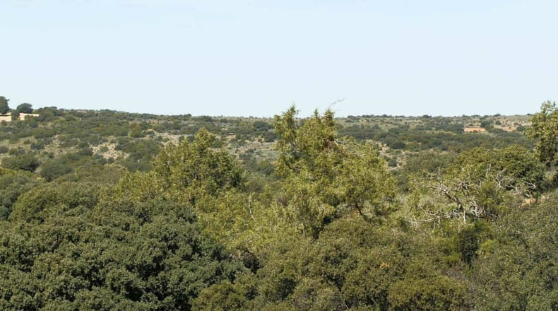 Ciudad Real - Ruidera - 6400000m2