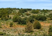 Terreno no urbanizable en venta en la Ruidera, ref: TR7633 foto