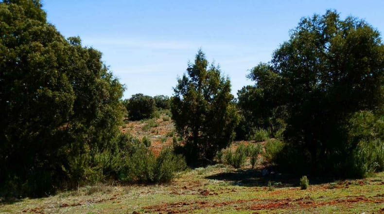Ciudad Real - Ruidera - 6400000m2