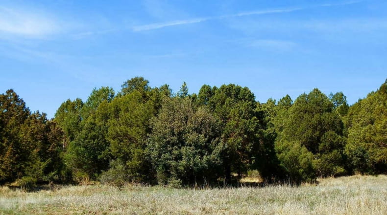 Ciudad Real - Ruidera - 6400000m2