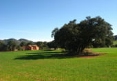 Rural estate for sale on Elche de la Sierra, ref: TR7632 photo