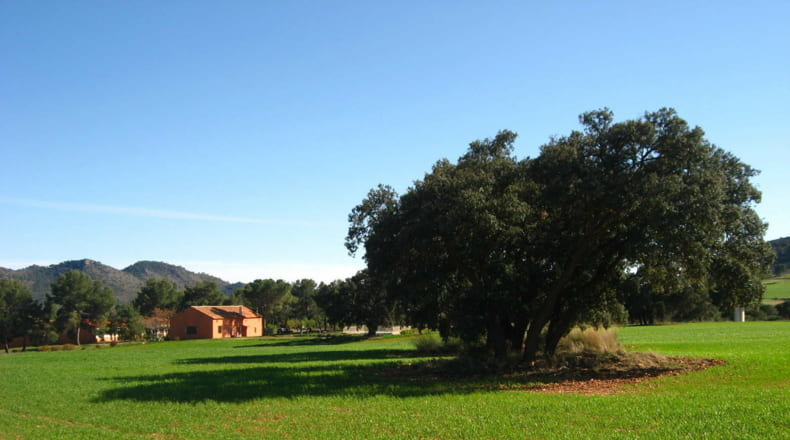Albacete - Elche de la Sierra - 5910000m2