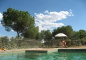 Rural estate for sale on Elche de la Sierra, ref: TR7632 photo
