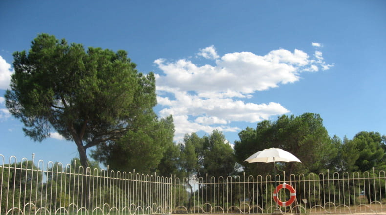 Albacete - Elche de la Sierra - 5910000m2
