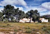 Rural estate for sale on Elche de la Sierra, ref: TR7632 photo