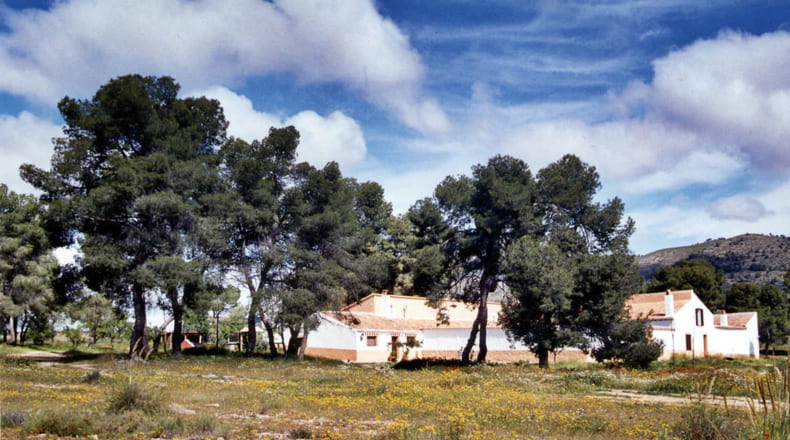 Albacete - Elche de la Sierra - 5910000m2