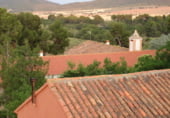 Rural estate for sale on Elche de la Sierra, ref: TR7632 photo
