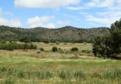 Rural estate for sale on Elche de la Sierra, ref: TR7632 photo