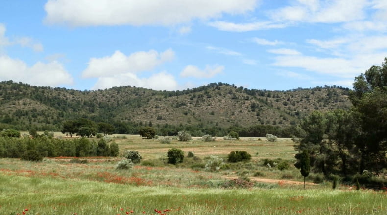 Albacete - Elche de la Sierra - 5910000m2