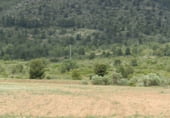 Rural estate for sale on Elche de la Sierra, ref: TR7632 photo