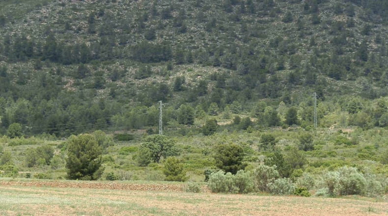 Albacete - Elche de la Sierra - 5910000m2