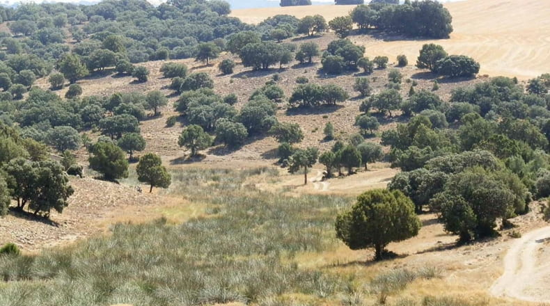 Albacete - Barrax - 5400000m2