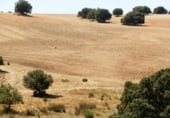 Rural estate for sale on Barrax, ref: TR7625 photo