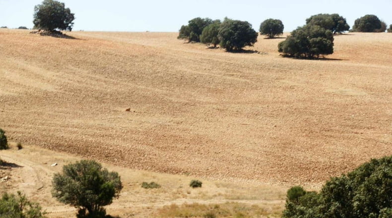 Albacete - Barrax - 5400000m2