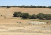 Rural estate for sale on Barrax, ref: TR7625 photo