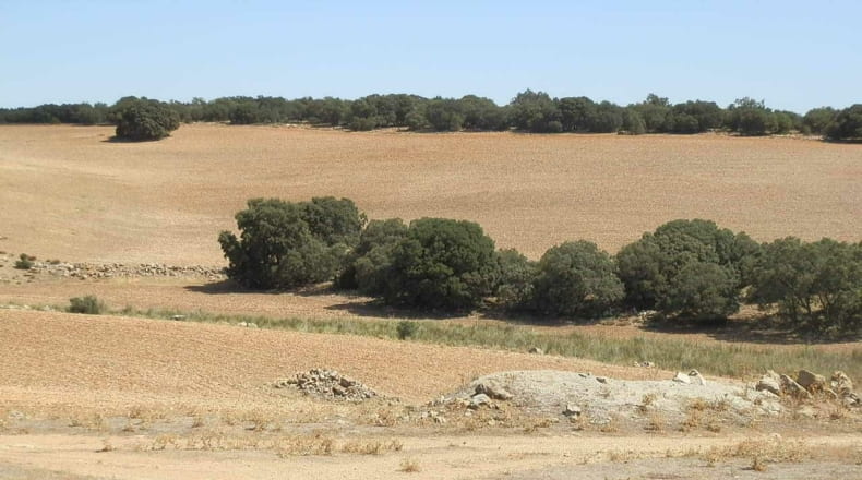 Albacete - Barrax - 5400000m2