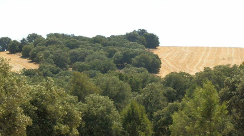 Albacete - Barrax - 5400000m2