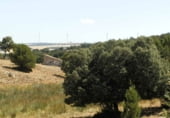 Rural estate for sale on Barrax, ref: TR7625 photo