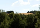 Rural estate for sale on Barrax, ref: TR7625 photo