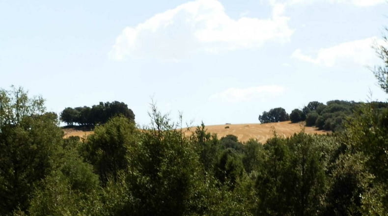Albacete - Barrax - 5400000m2