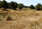 Rural estate for sale on Barrax, ref: TR7625 photo