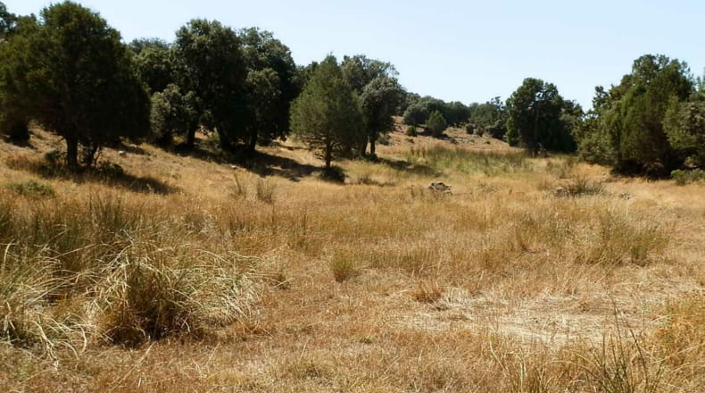 Albacete - Barrax - 5400000m2