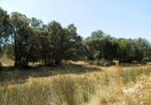Rural estate for sale on Barrax, ref: TR7625 photo