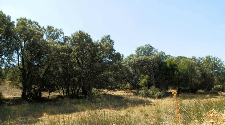 Albacete - Barrax - 5400000m2