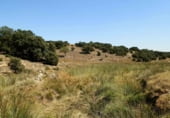 Rural estate for sale on Barrax, ref: TR7625 photo