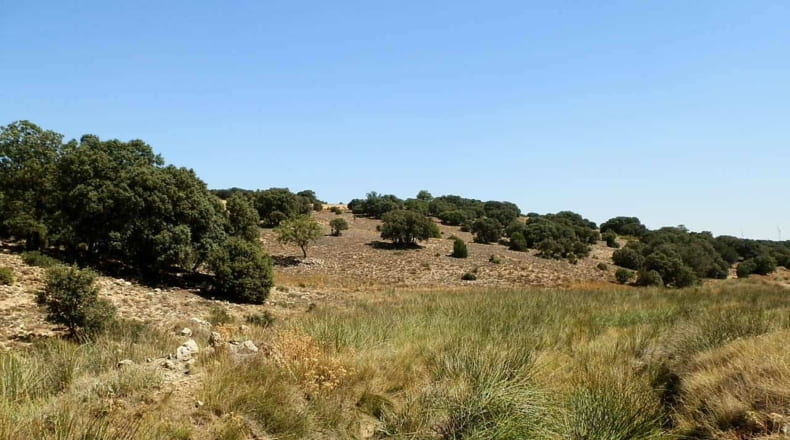 Albacete - Barrax - 5400000m2