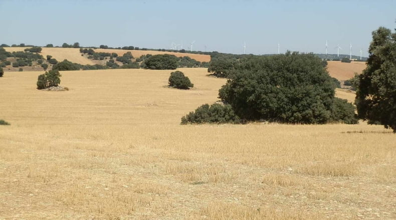 Albacete - Barrax - 5400000m2