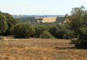 Rural estate for sale on Barrax, ref: TR7625 photo