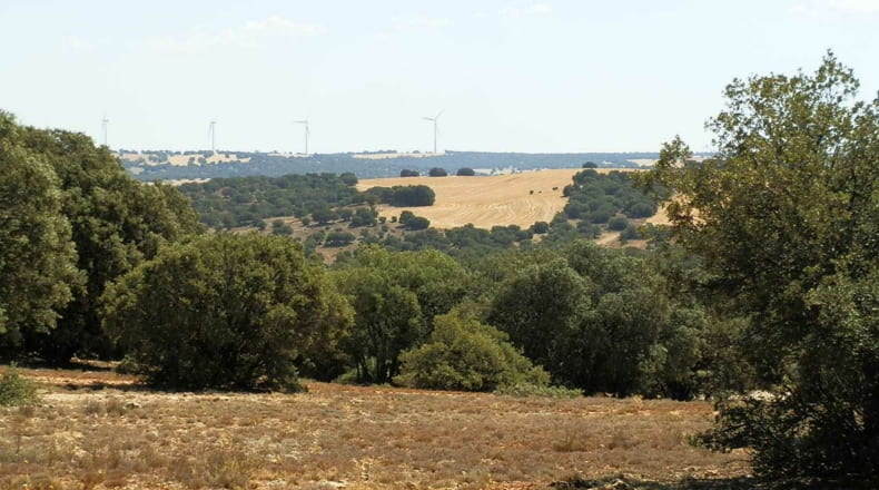 Albacete - Barrax - 5400000m2