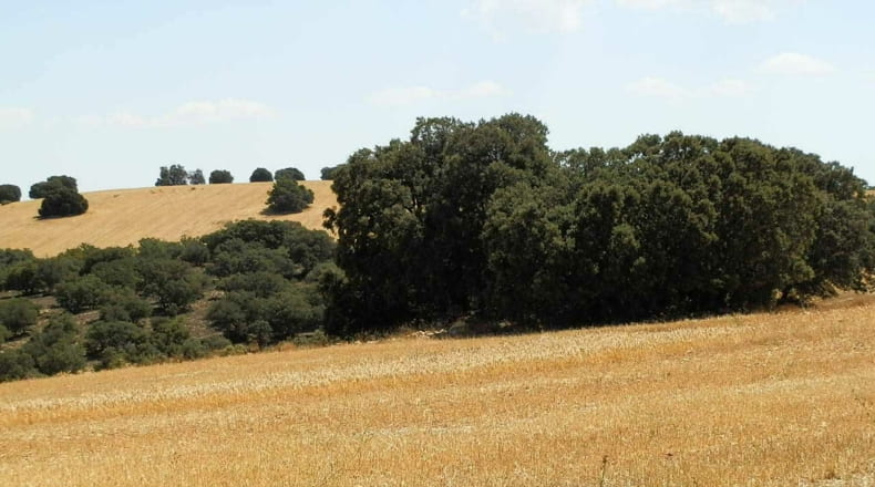 Albacete - Barrax - 5400000m2