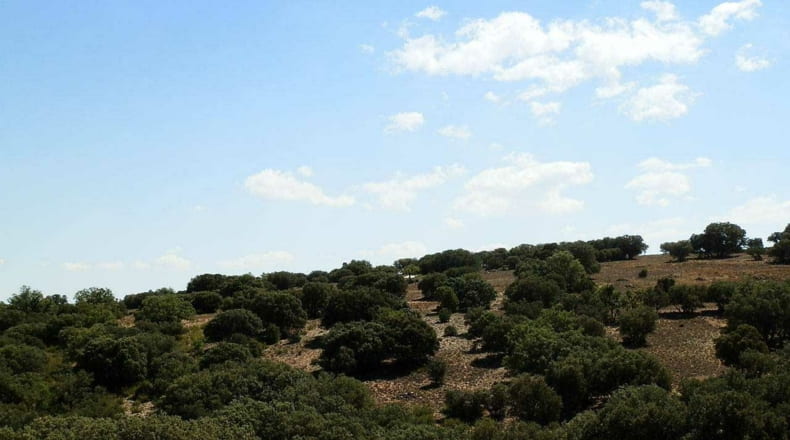 Albacete - Barrax - 5400000m2