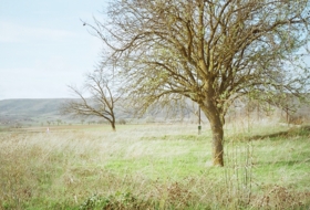 Castrojeriz 1807&nbsp;m² 