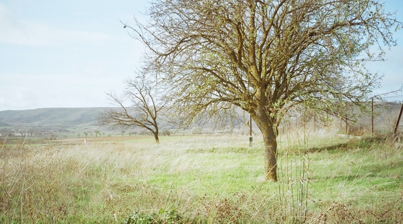 Burgos - Arenillas de Riopisuerga - 1807m2
