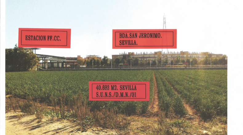 Sevilla - Sevilla - 5000m2