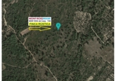 Terreny no urbanitzable en venda a la T-310, Mont-roig del Camp, ref.: TR5630 foto