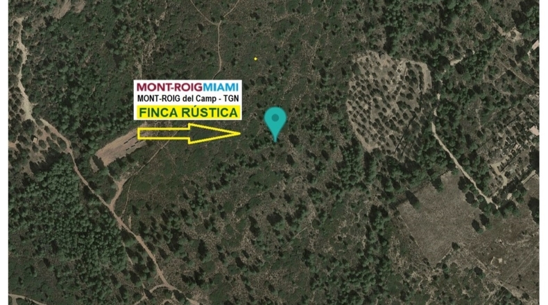Tarragona - Mont-roig del Camp - 32142m2