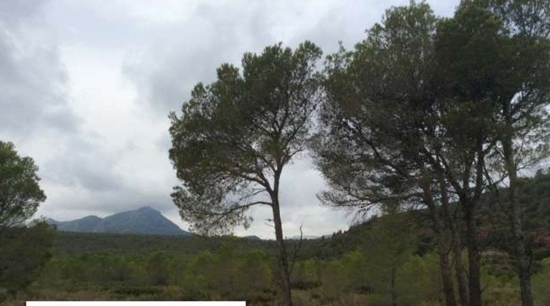 Castellón - Villafranca del Cid - 32142m2