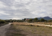 Parcel·la urbanitzable en venda a la Polígono 153 parcela 91, Moratalla, ref.: TR8345 foto