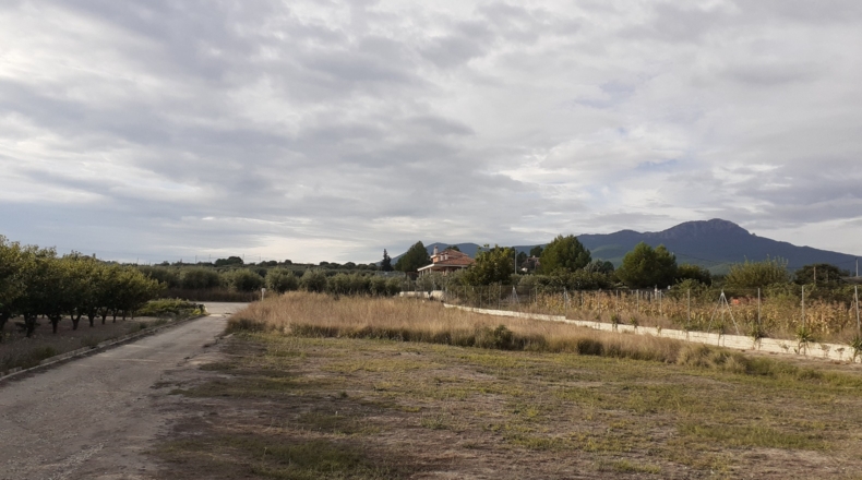 Murcia - Moratalla - 1500m2