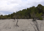 Non-developable land for sale on Polígono 182 parcela 4, Moratalla, ref: TR8344 photo