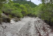 Non-developable land for sale on Polígono 182 parcela 4, Moratalla, ref: TR8344 photo